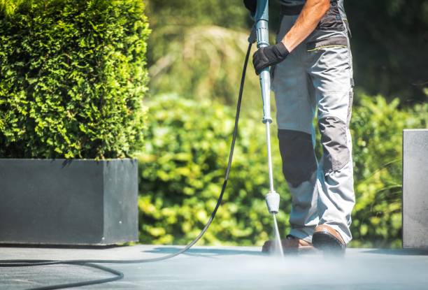 Best Graffiti Removal  in Dunedin, FL
