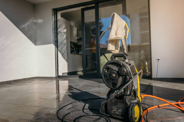 Best Rust Removal  in Dunedin, FL