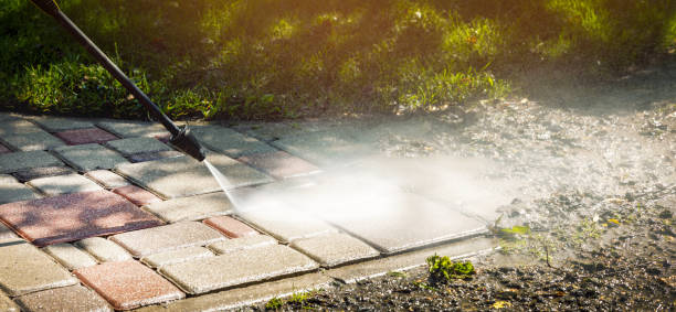 Best Solar Panel Cleaning  in Dunedin, FL
