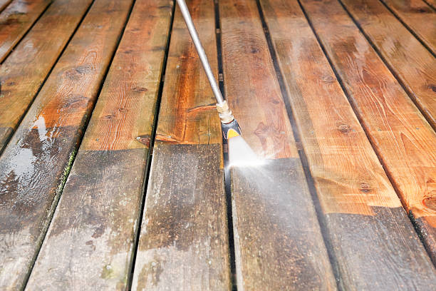 Professional Pressure Washing in Dunedin, FL